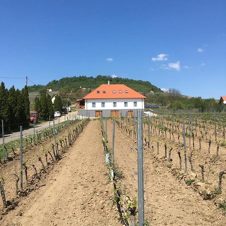 Somlo Kolonics Kuria Hotel Somlovasarhely Exterior foto